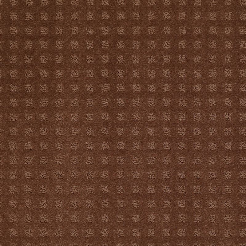 Shaw Floors SFA The Fair Mocha Chip