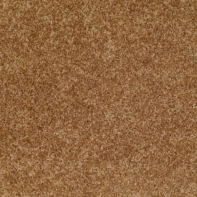 Shaw Floors SFA Ocean Pines 12' New Cork