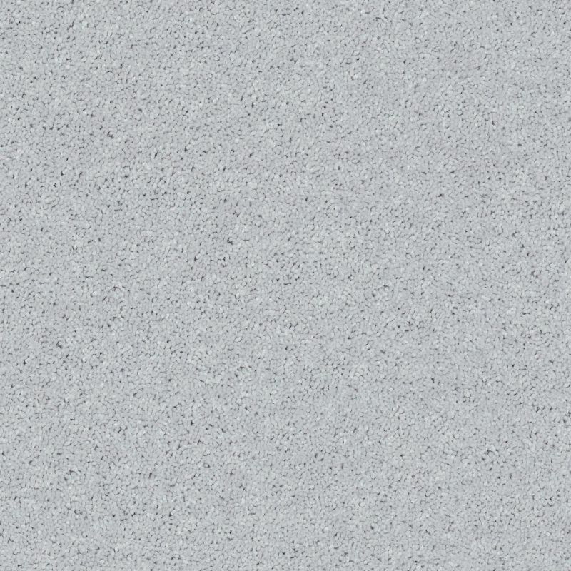 Shaw Floors SFA Drexel Hill II 15' Dove