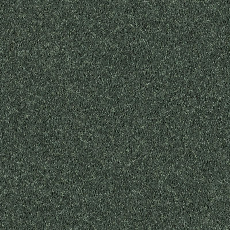 Shaw Floors SFA Drexel Hill III 12' Going Green