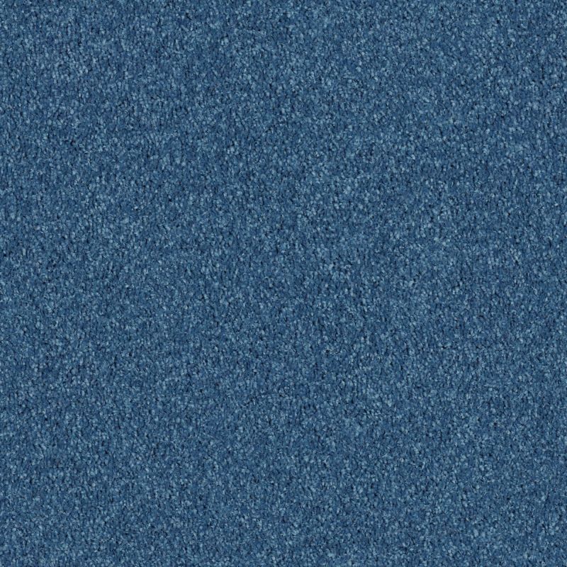 Shaw Floors SFA Drexel Hill III 12' Indigo