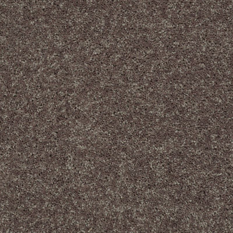 Shaw Floors SFA Drexel Hill III 12' Driftwood