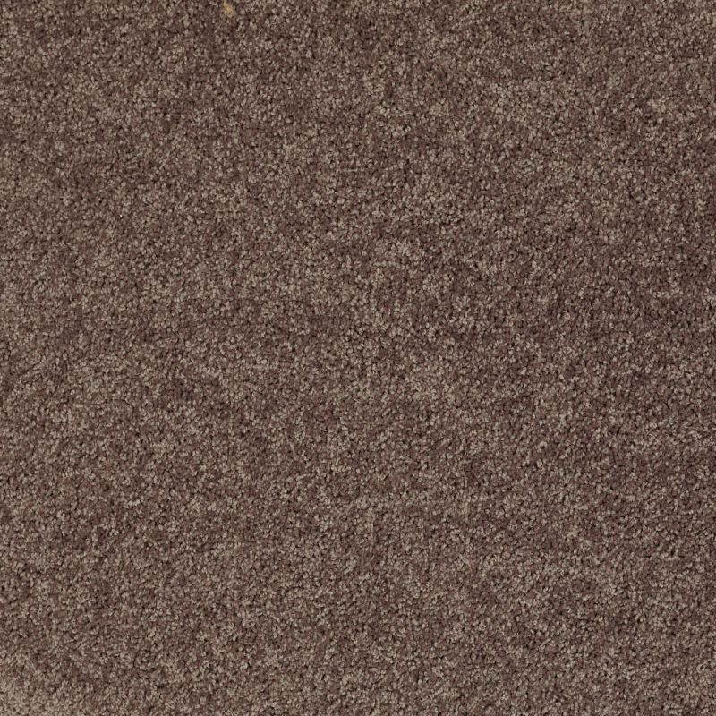 Shaw Floors SFA Drexel Hill III 12' Molasses