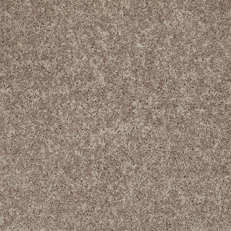 Shaw Floors SFA Drexel Hill III 12' River Slate