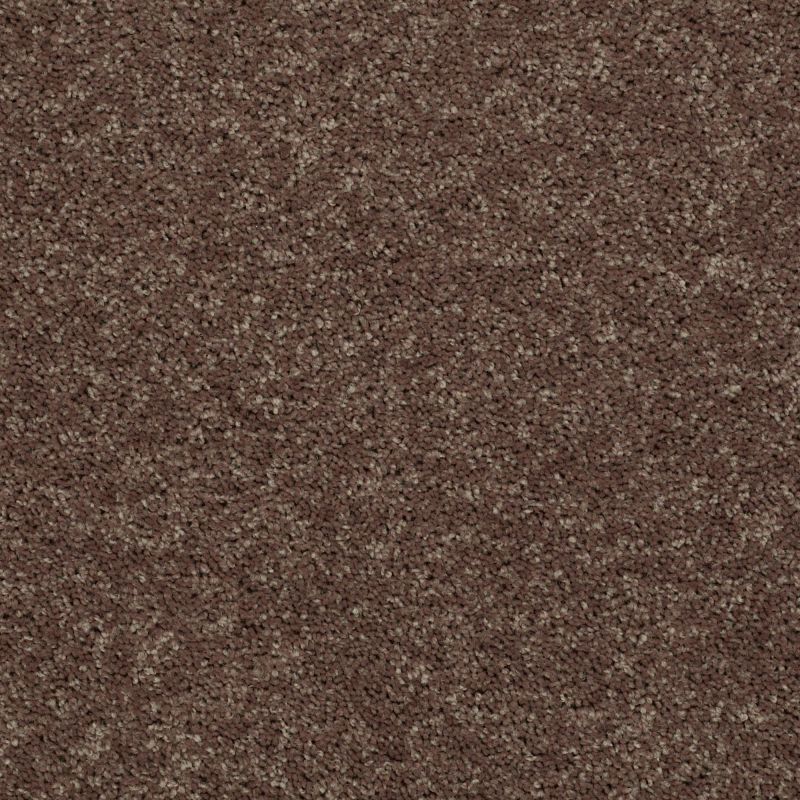 Shaw Floors SFA Drexel Hill III 15 Cattail