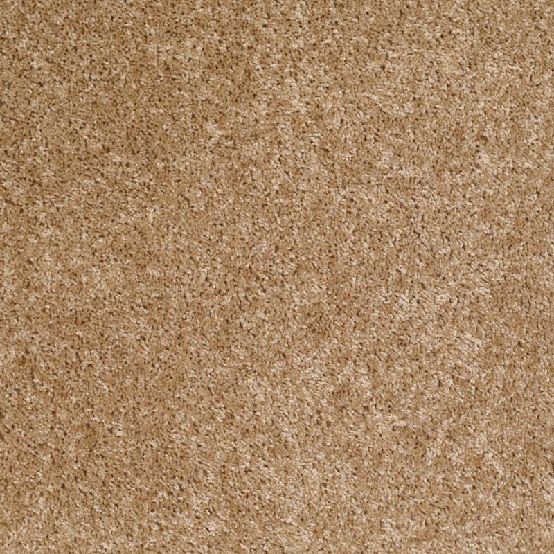 Shaw Floors SFA Dynamic World 12 (s) Wicker