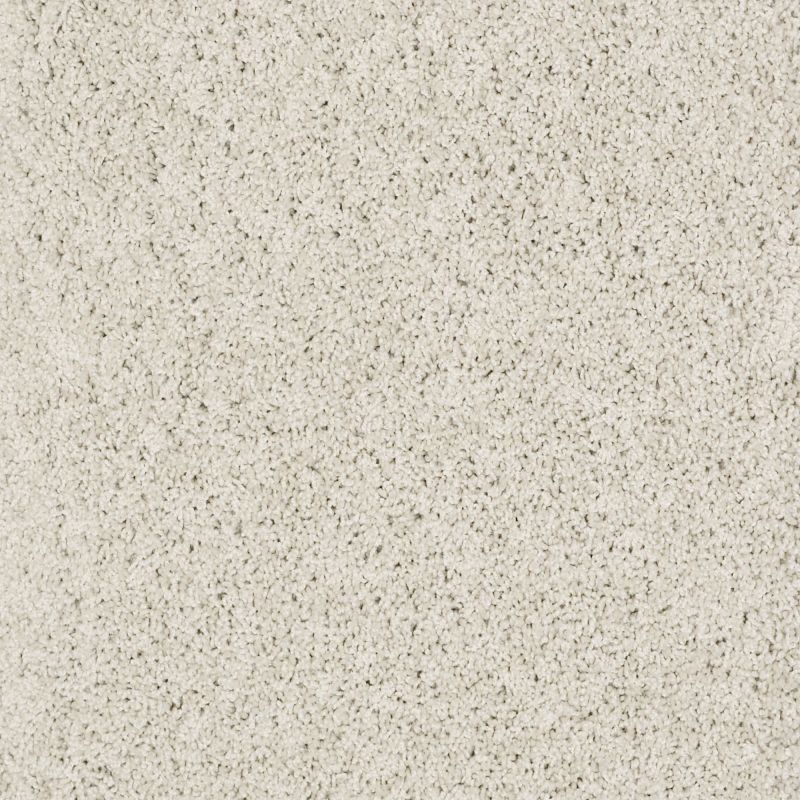 Shaw Floors SFA Loyal Beauty III Polar