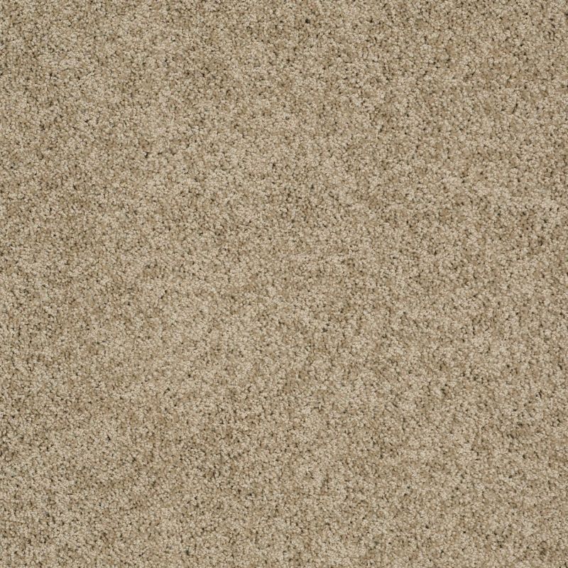 Shaw Floors SFA Loyal Beauty III Driftwood