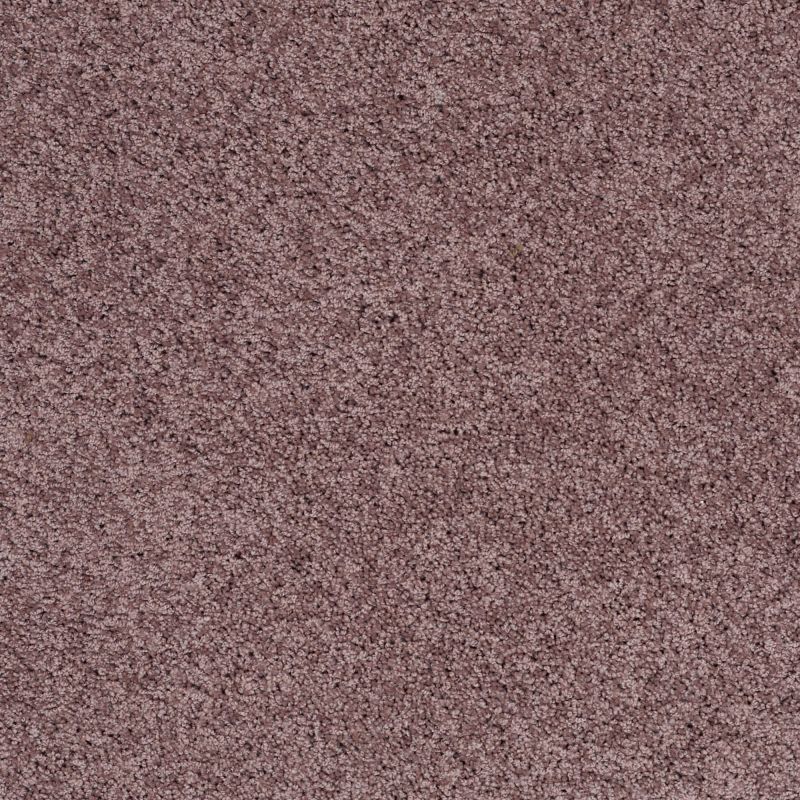 Shaw Floors SFA Loyal Beauty III Grape Fizz