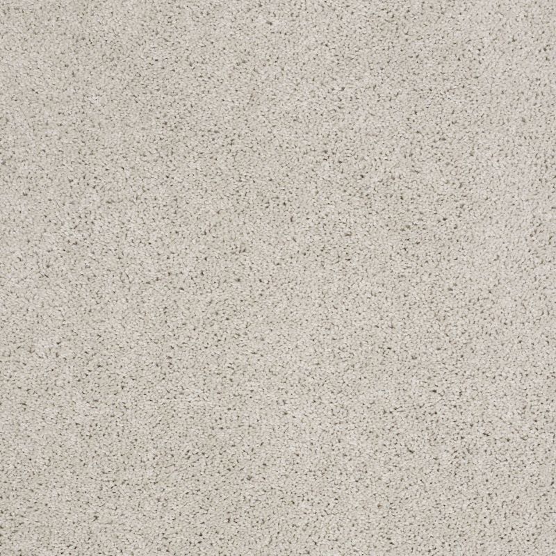 Shaw Floors SFA Source Mist
