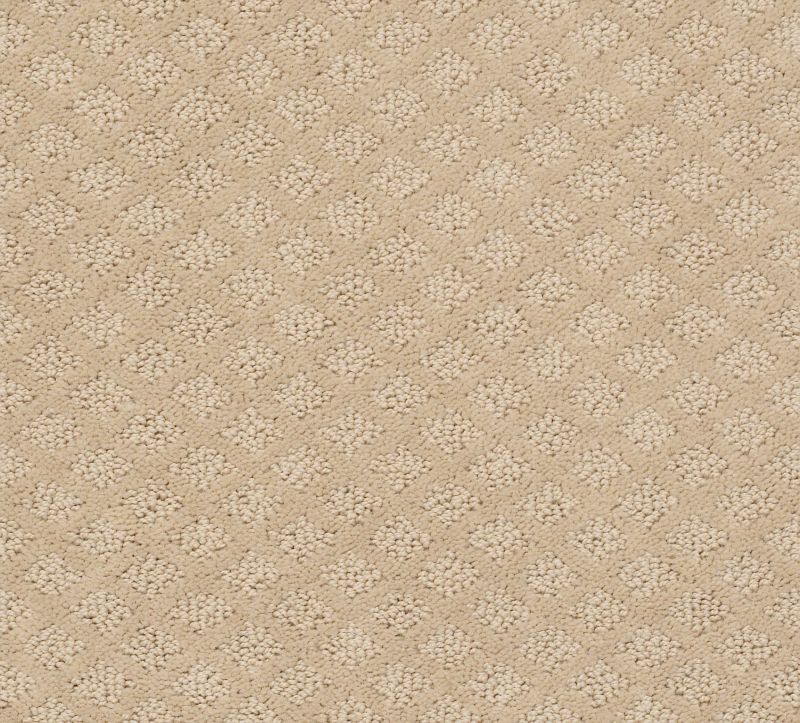 Shaw Floors SFA Excel Dunes