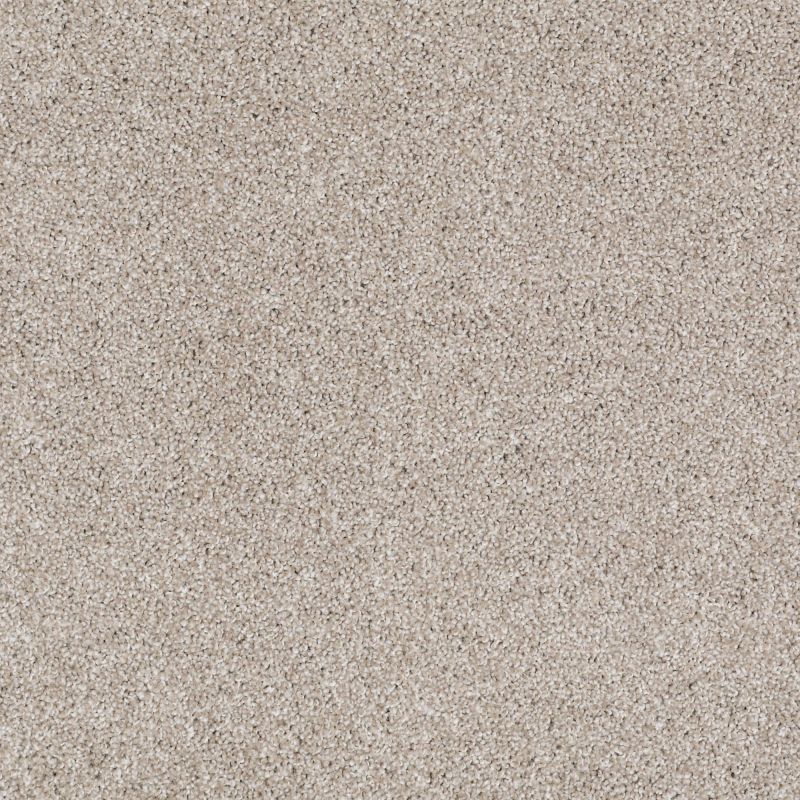 Shaw Floors SFA Inspiring Mist
