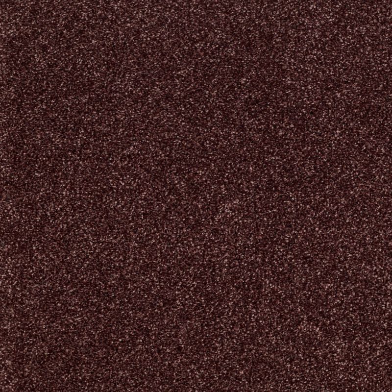 Shaw Floors SFA Inspiring Berry