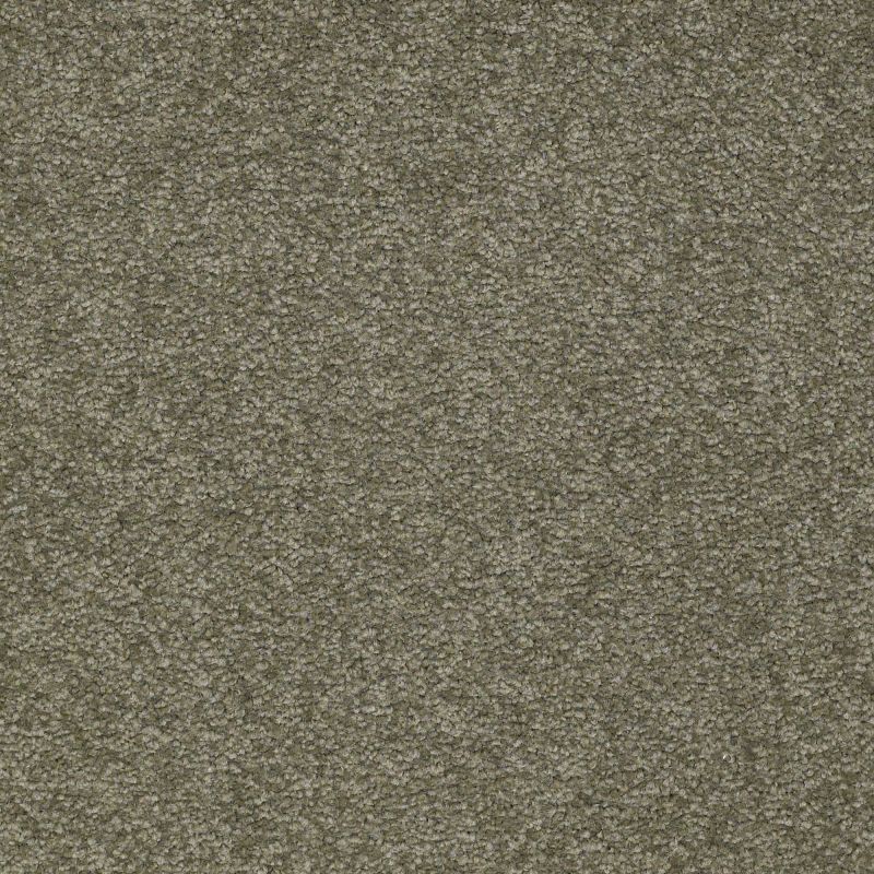 Shaw Floors SFA Shingle Creek I 12 Alpine Fern