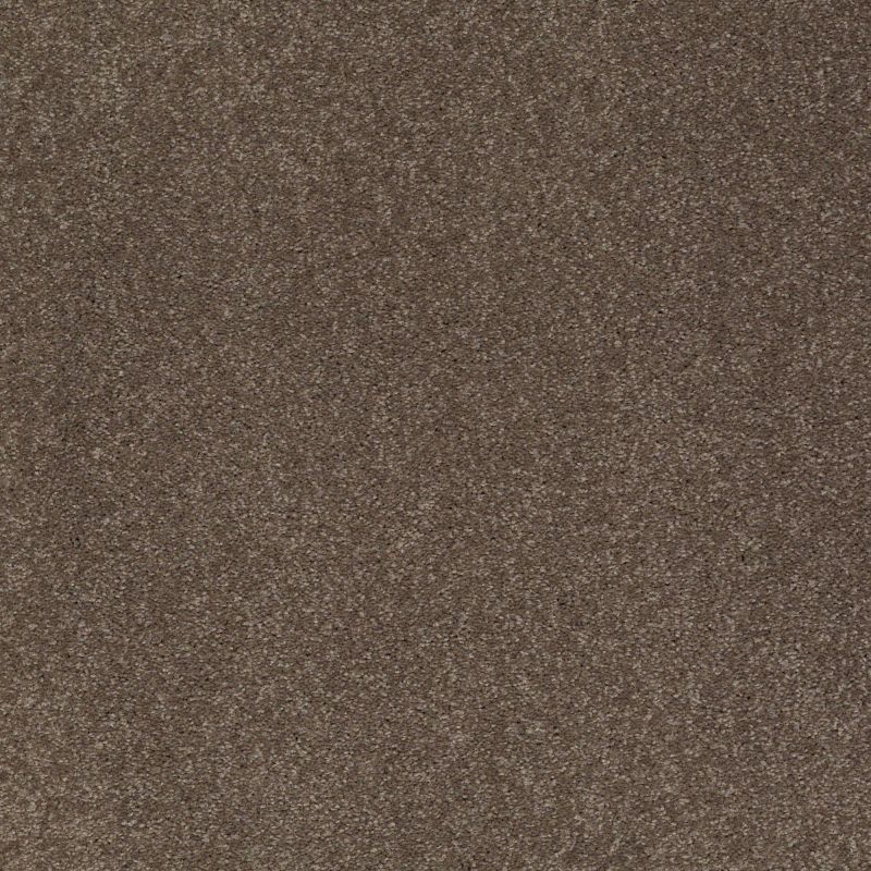 Shaw Floors SFA Shingle Creek I 15 Castle Rock