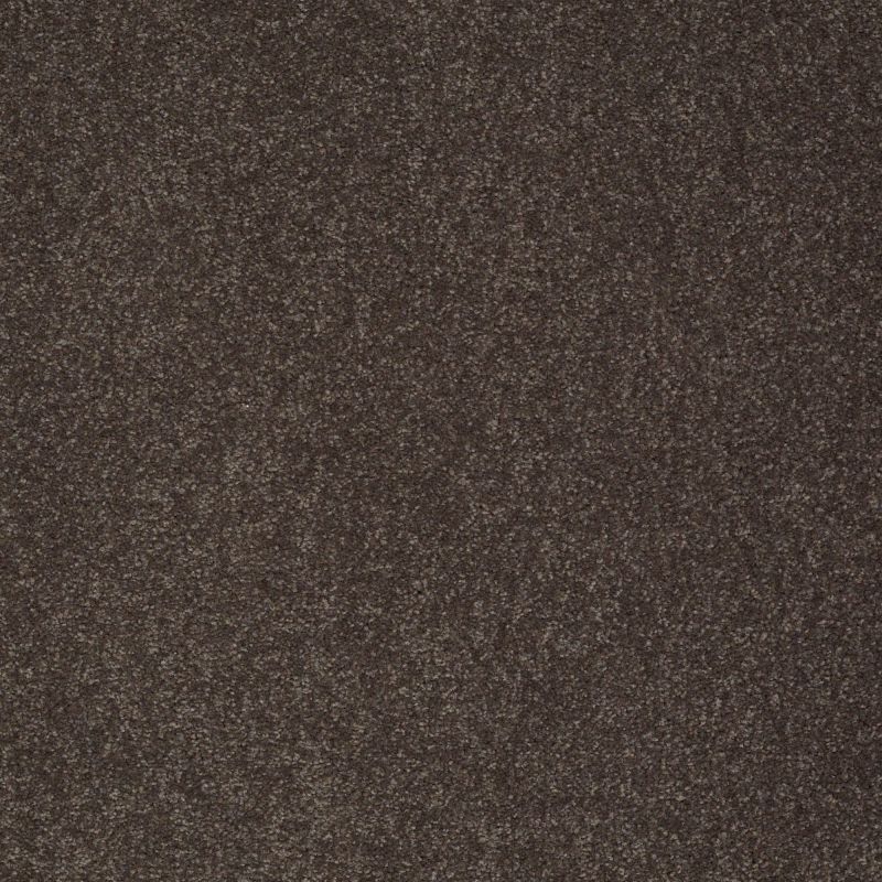 Shaw Floors SFA Shingle Creek I 15 Arrowhead