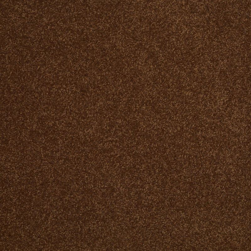 Shaw Floors SFA Shingle Creek III 12' Tortoise Shell