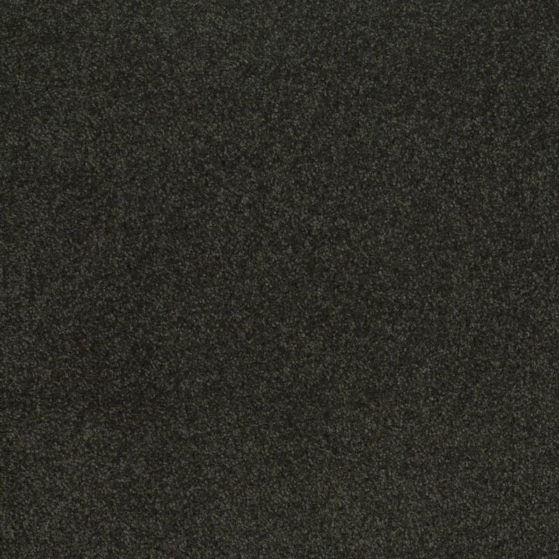 Shaw Floors SFA Shingle Creek Iv 15' Lilly Pad
