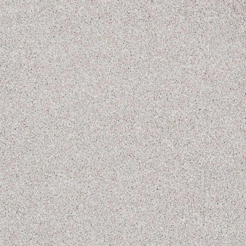 Shaw Floors SFA Majority Rules Cement Mix