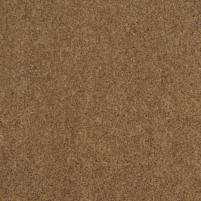 Shaw Floors SFA Source II Leather Bound