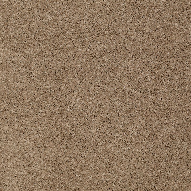 Shaw Floors SFA Source II Briar