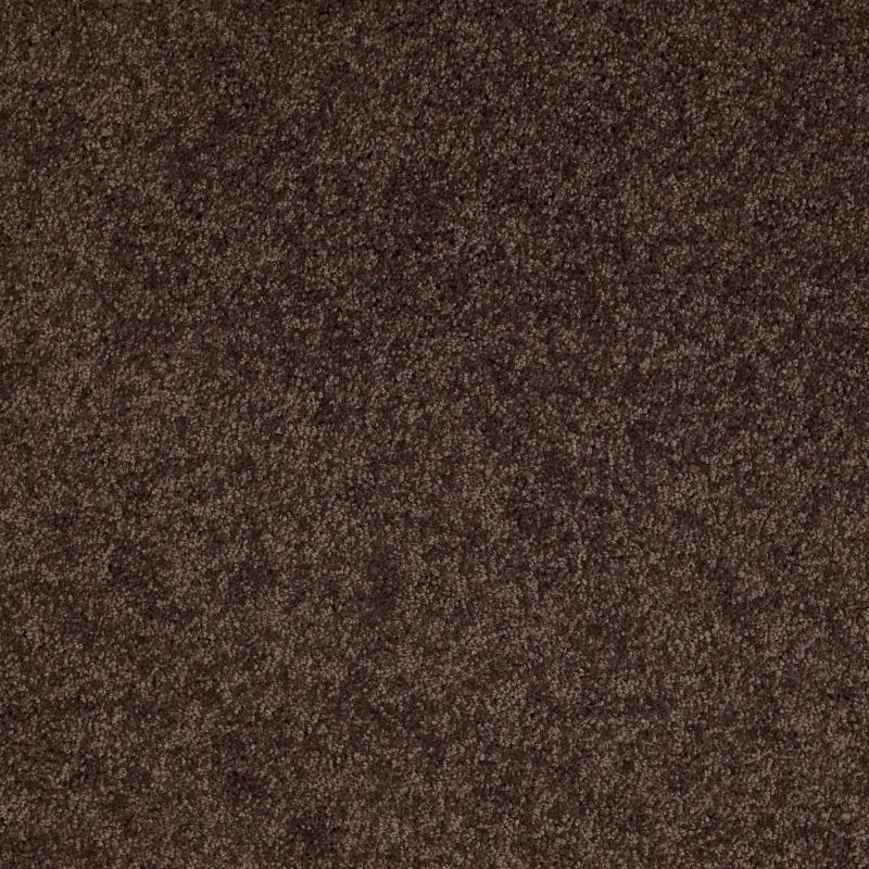 Shaw Floors SFA Source II Buckeye