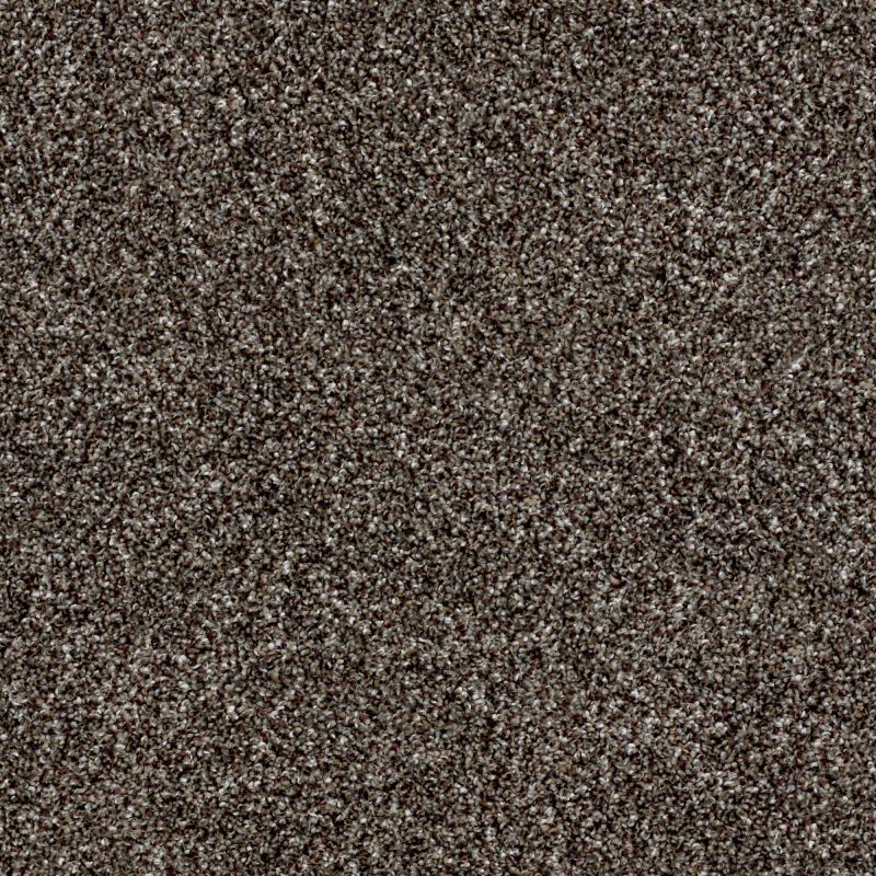 Shaw Floors Simply The Best Breathe & Reflect Mushroom