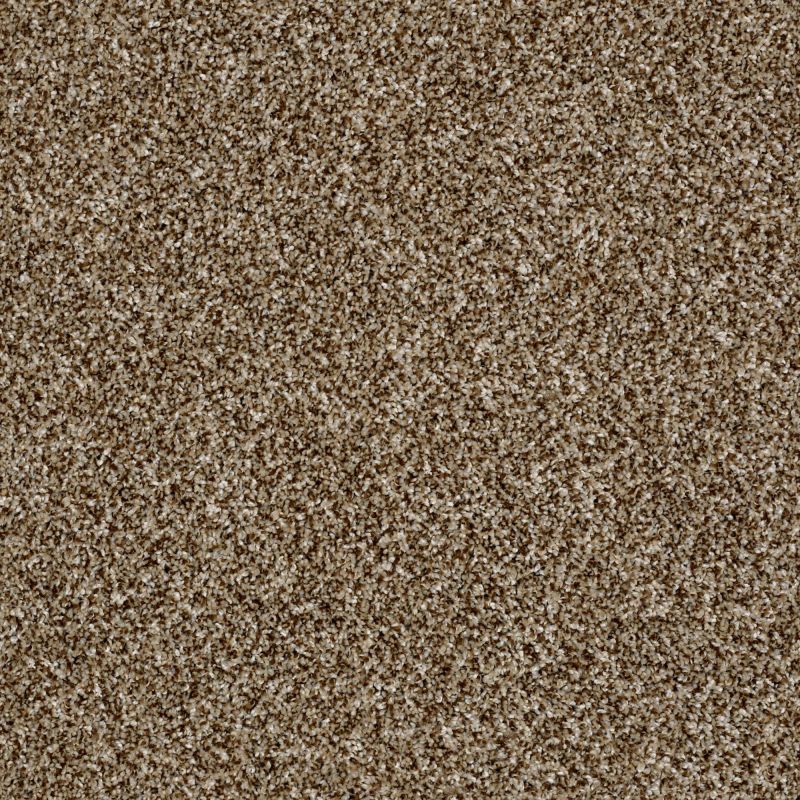 Shaw Floors Value Collections Breathe & Reflect Net Honey Bear