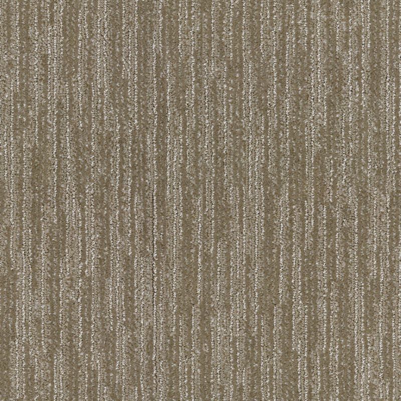 Shaw Floors Value Collections Evoking Warmth Net Menswear