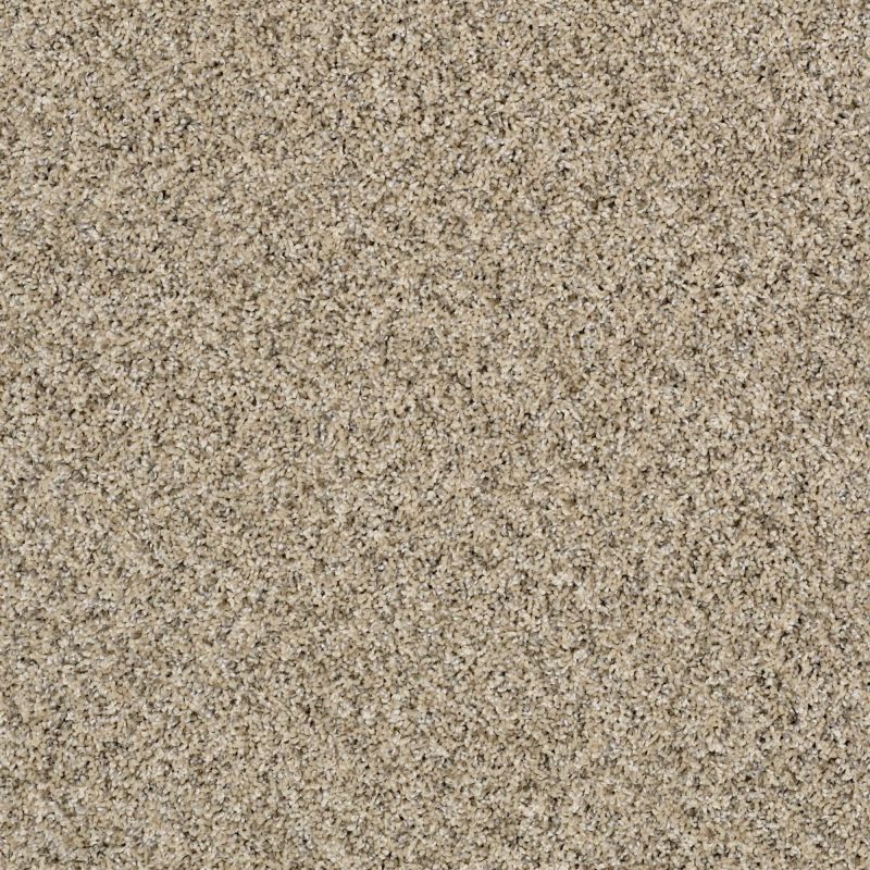 Shaw Floors Value Collections Nature Essence Net Colonial Cream
