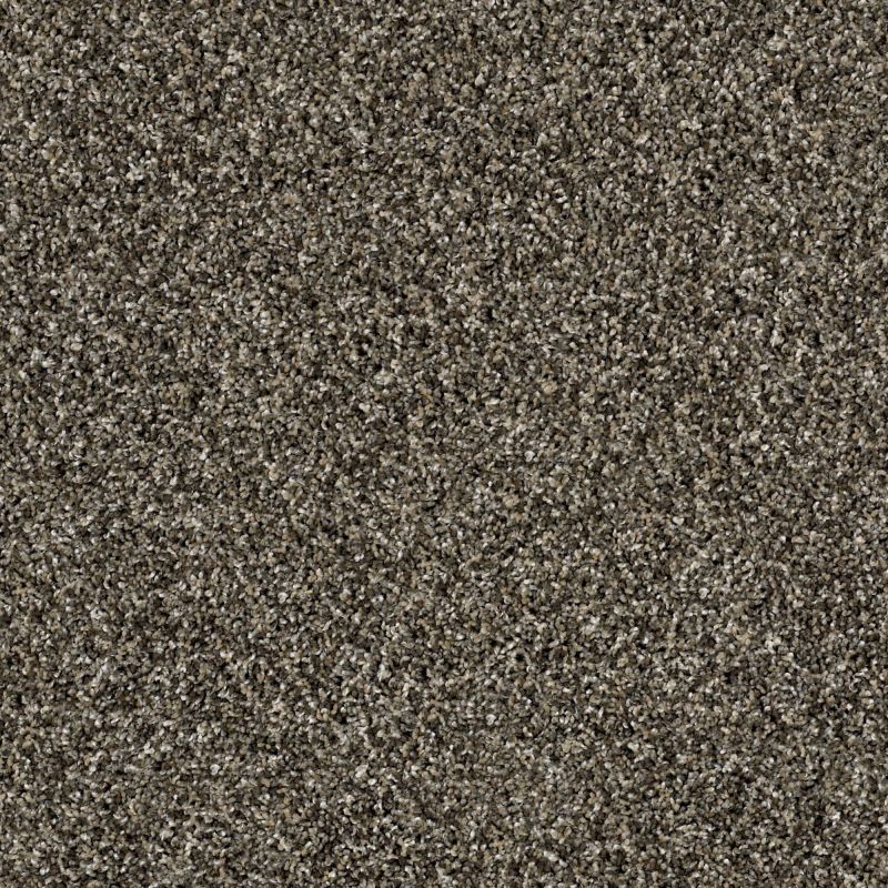 Shaw Floors Value Collections Nature Essence Net Fossil