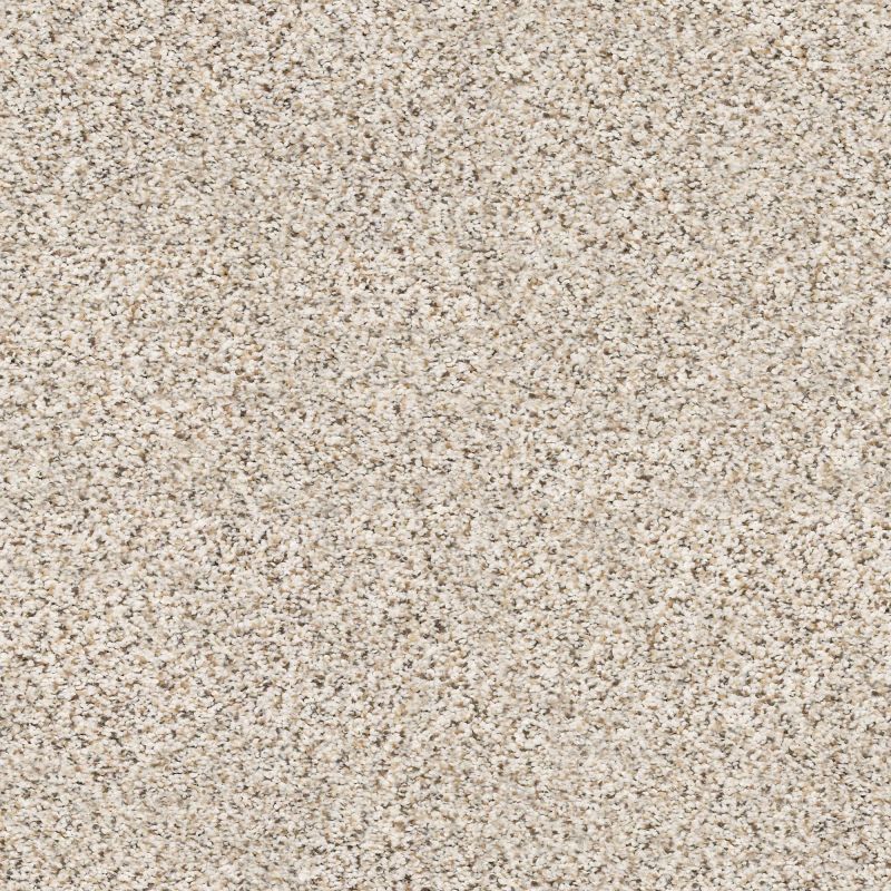 Shaw Floors SFA Strands Of Nature II Pixels