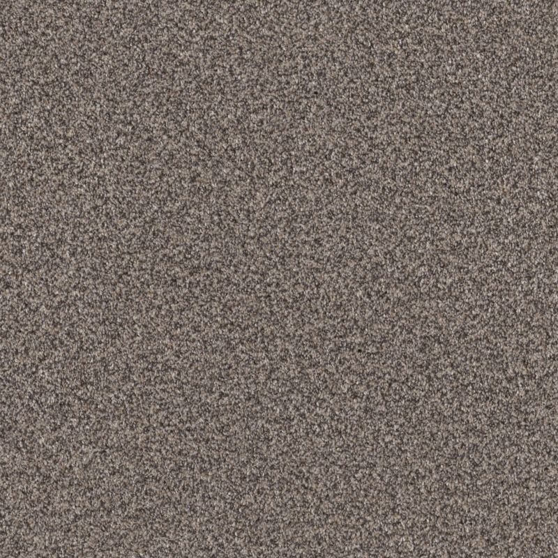 Shaw Floors SFA Grandiose Fossil Path