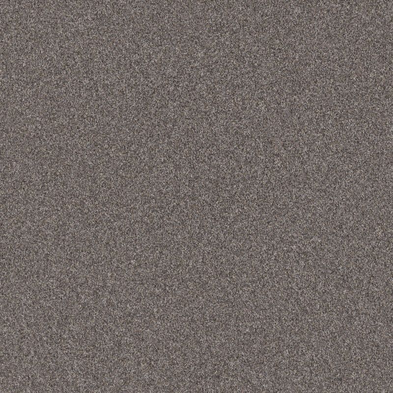 Shaw Floors SFA Grandiose Desert View