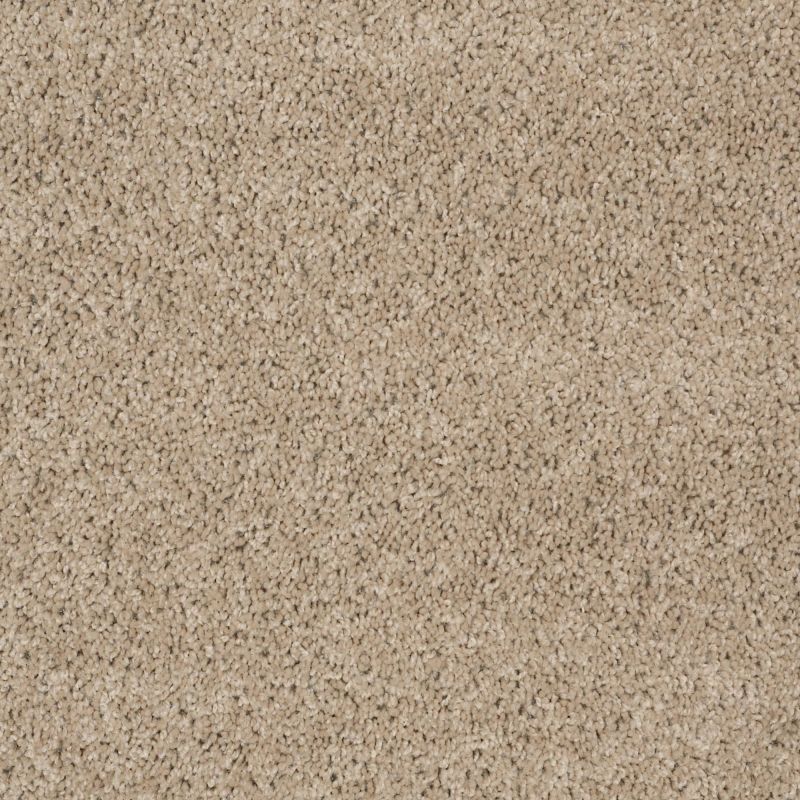 Shaw Floors Shaw Floor Studio Complete Allure (s) Pebble