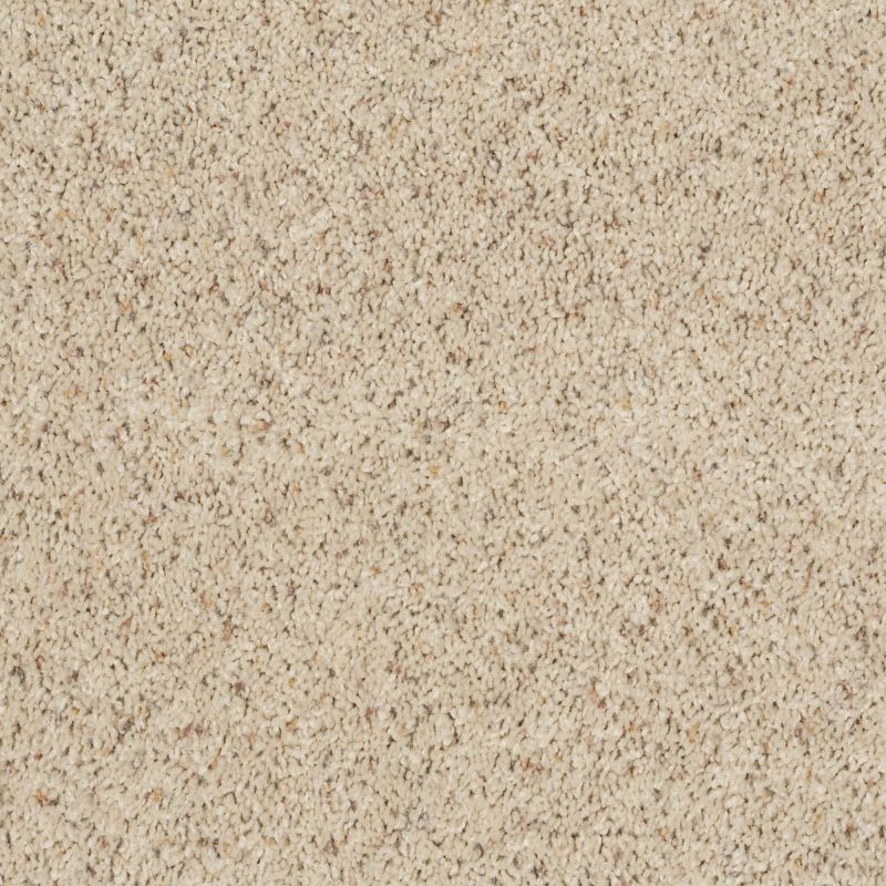 Shaw Floors Shaw Floor Studio Complete Allure (b) Misty Mica
