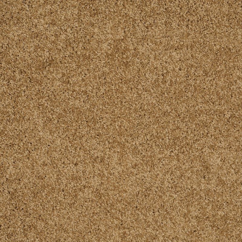 Shaw Floors Shaw Floor Studio Around The House III Country Wheat