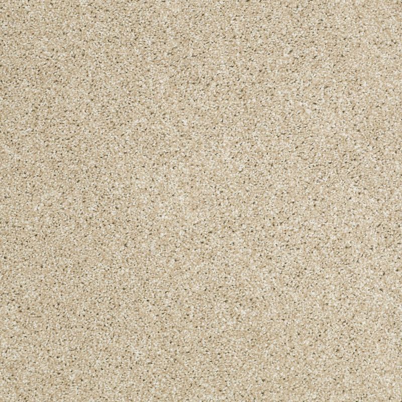 Shaw Floors Shaw Floor Studio Gelato Dunes