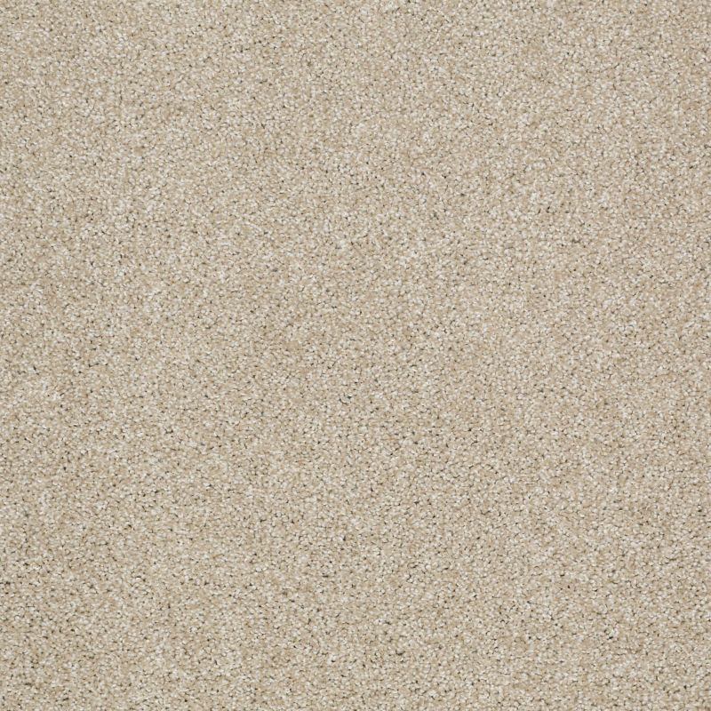 Shaw Floors Shaw Floor Studio Gelato Frost