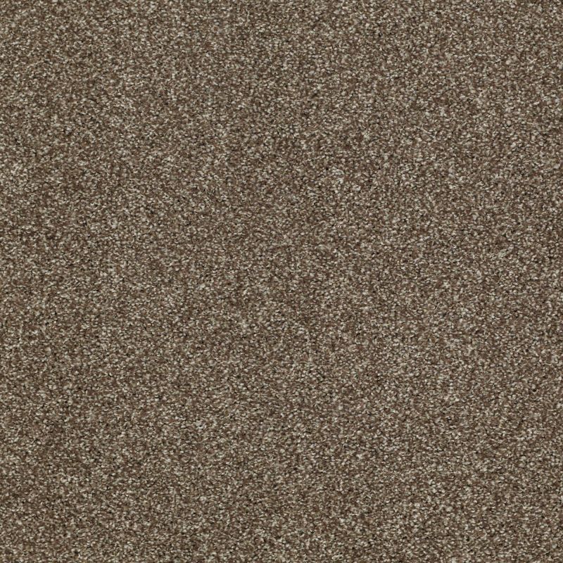Shaw Floors Shaw Floor Studio Gelato Townhouse