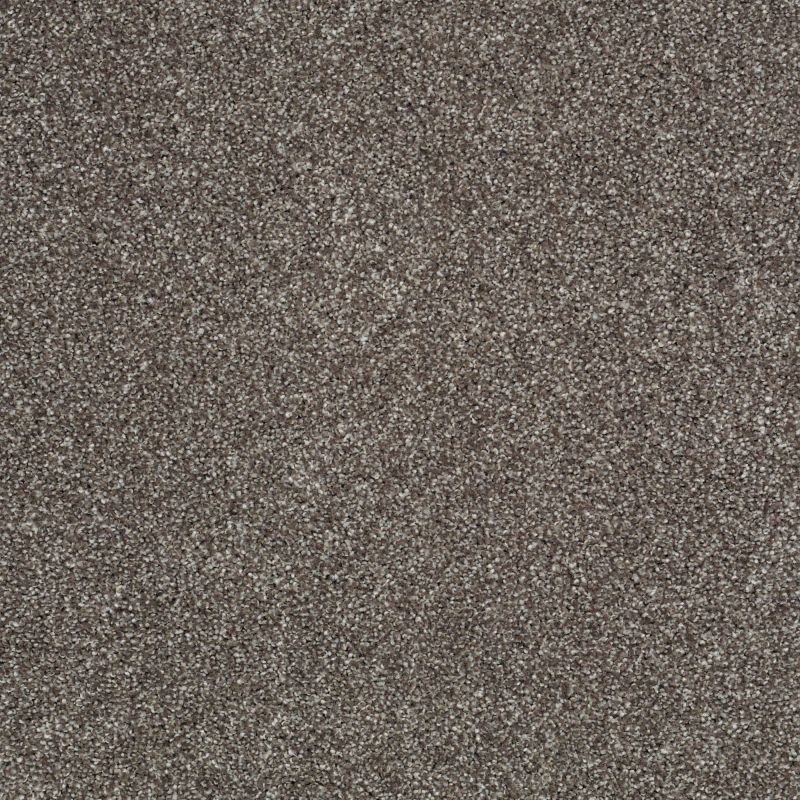 Shaw Floors Shaw Floor Studio Gelato Graphite