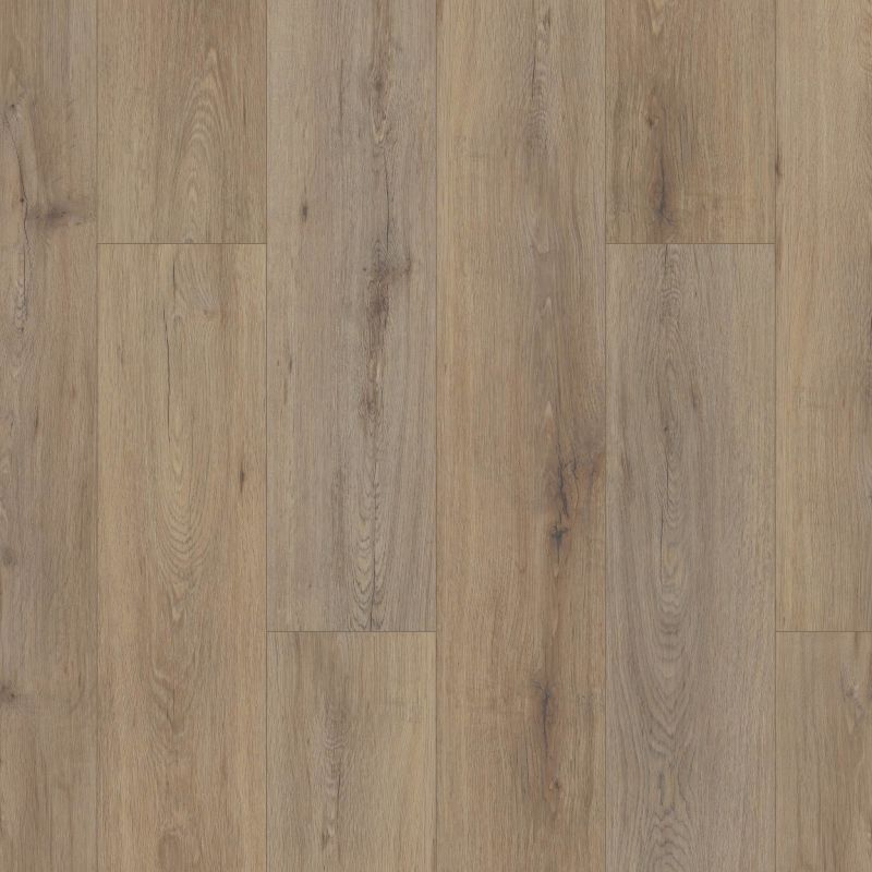 Shaw Floors Resilient Residential Gm100 Wild Dunes
