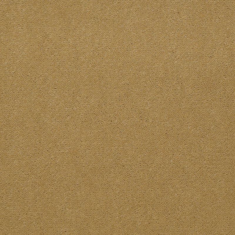 Philadelphia Commercial Baytowne III 36 Suede Gold