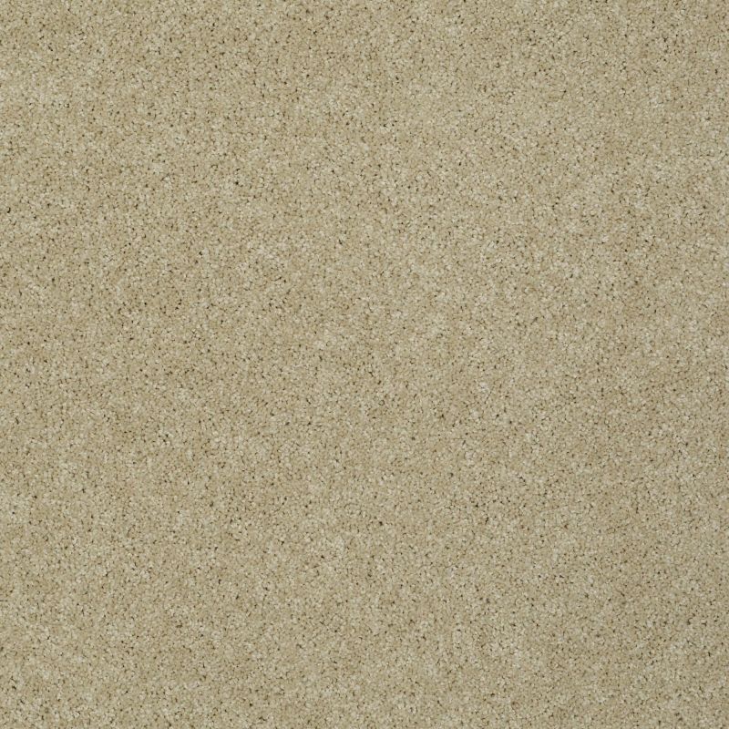 Shaw Floors St Jude Butterfly Kisses III Caramel Ice