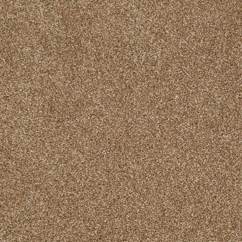 Shaw Floors St Jude Vacation Day Trail Mix