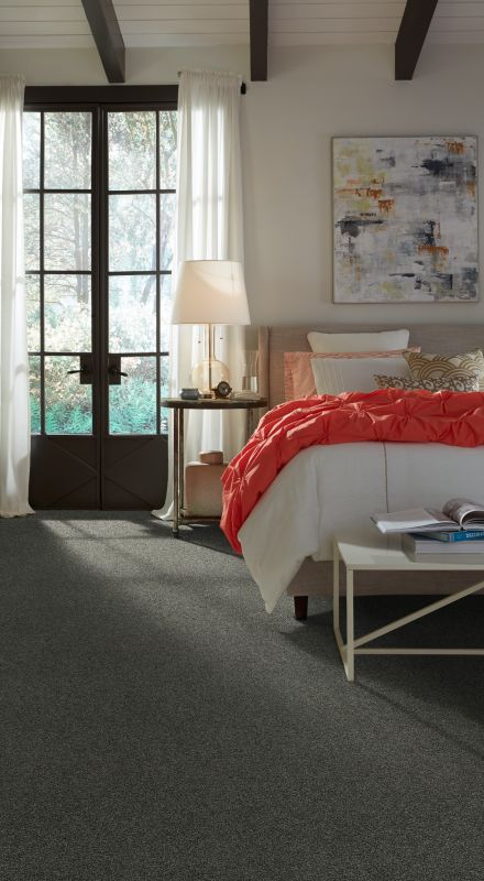 Shop Anderson Tuftex Cashmere Classic I Onyx 00528_CCS68 Carpet