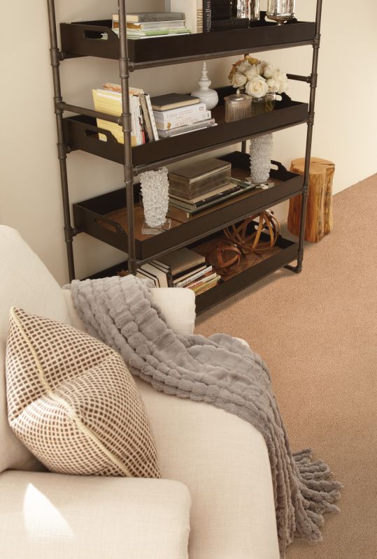Anderson Tuftex CARESS BY SHAW Cashmere Ii Maplewood North