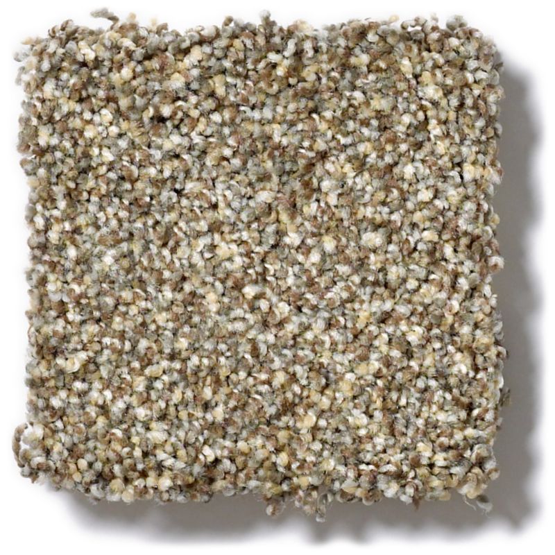 Shop Anderson Tuftex Oliver'S Twist Canyon 00721_ZZ015 Carpet