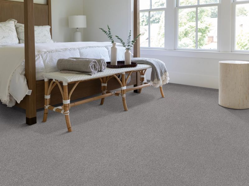 Shop Shaw Floors PET PERFECT PLUS Vivid Touch II Graphic