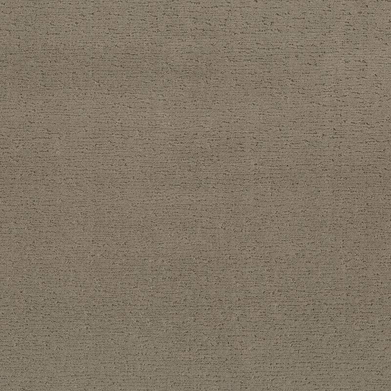 Shop Anderson Tuftex CLASSICS Sketch Reflection 00512_ZZ077 Carpet